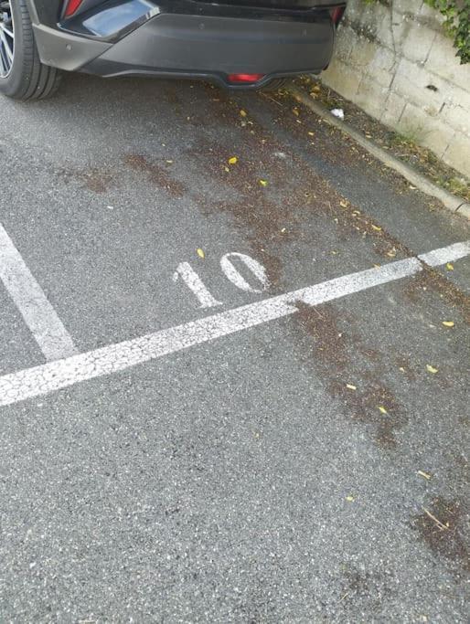 Apartment Cosy Parking Proche Orly *